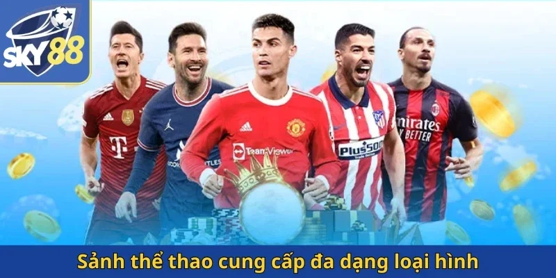 sanh-the-thao-cung-cap-da-dang-loai-hinh